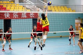 格莱美游戏音乐提名公布《33号远征队》落选引质疑